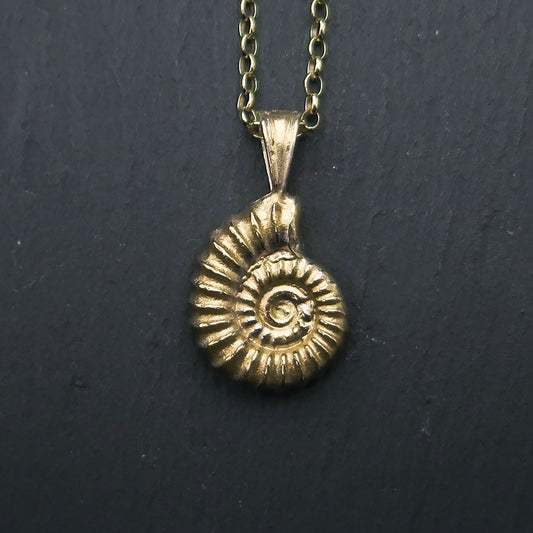 Cast Ammonite, Large - Gold