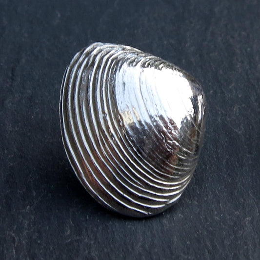 Clam Shell Studs - Silver