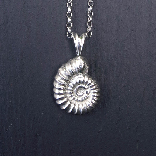 Cast Ammonite, Large - Silver