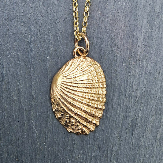 Ridged Shell - Gold