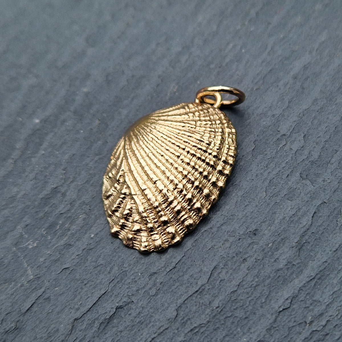 Small Patterned Ridged Shell Ridged Shell - Gold – Jewellery by Lucy Campbell