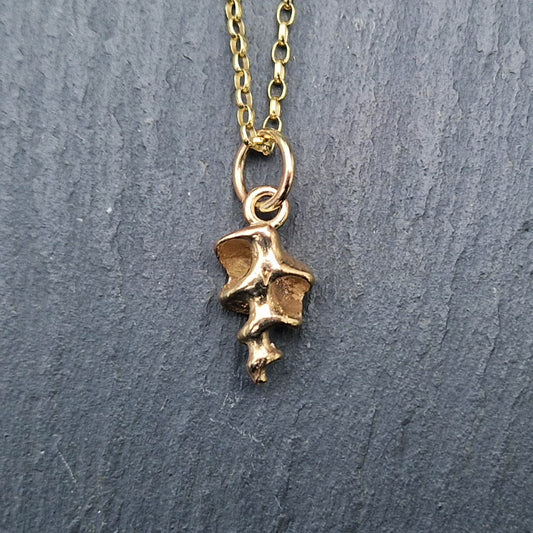 Skeleton Shell - Gold