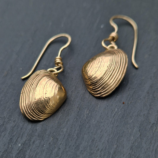 Clam Shell Dangly Earrings - Gold