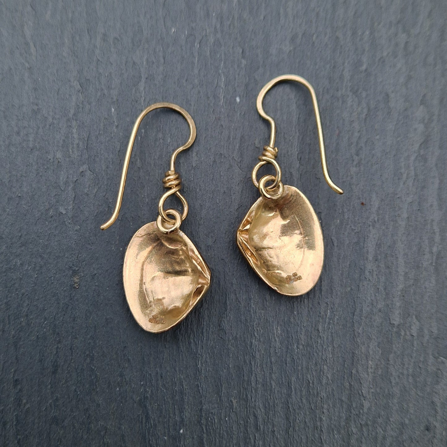 Clam Shell Dangly Earrings - Gold