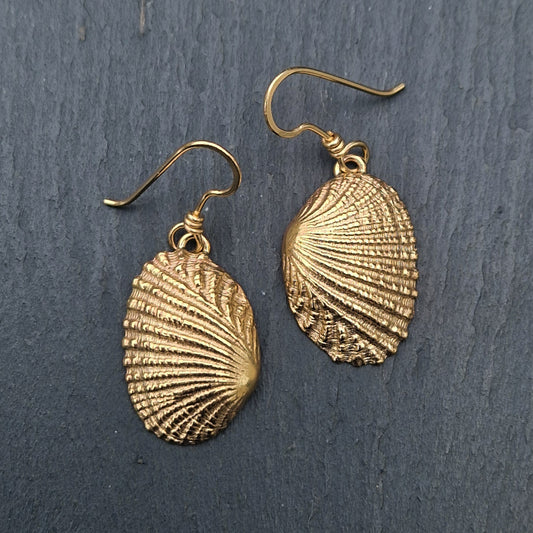 Ridged Shell Dangly Earrings - Gold