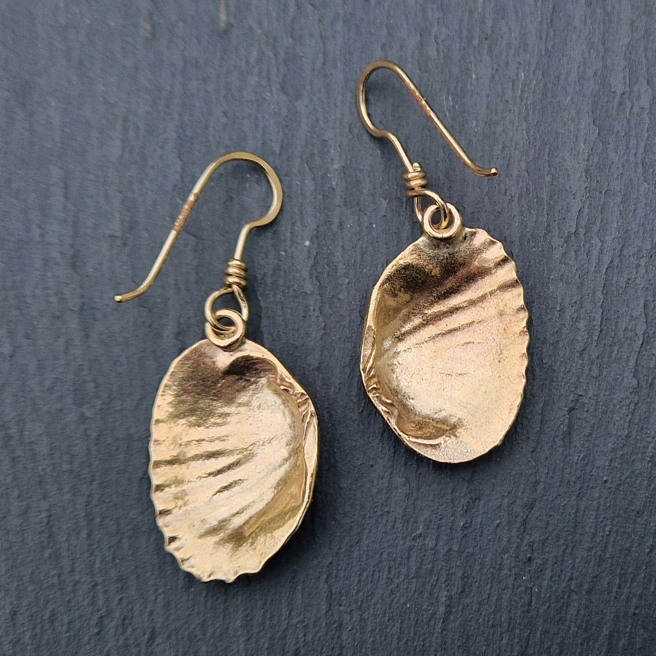 Ridged Shell Dangly Earrings - Gold