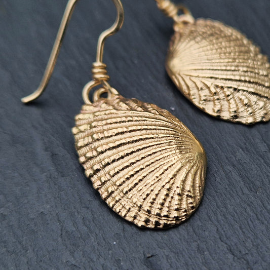 Ridged Shell Dangly Earrings - Gold