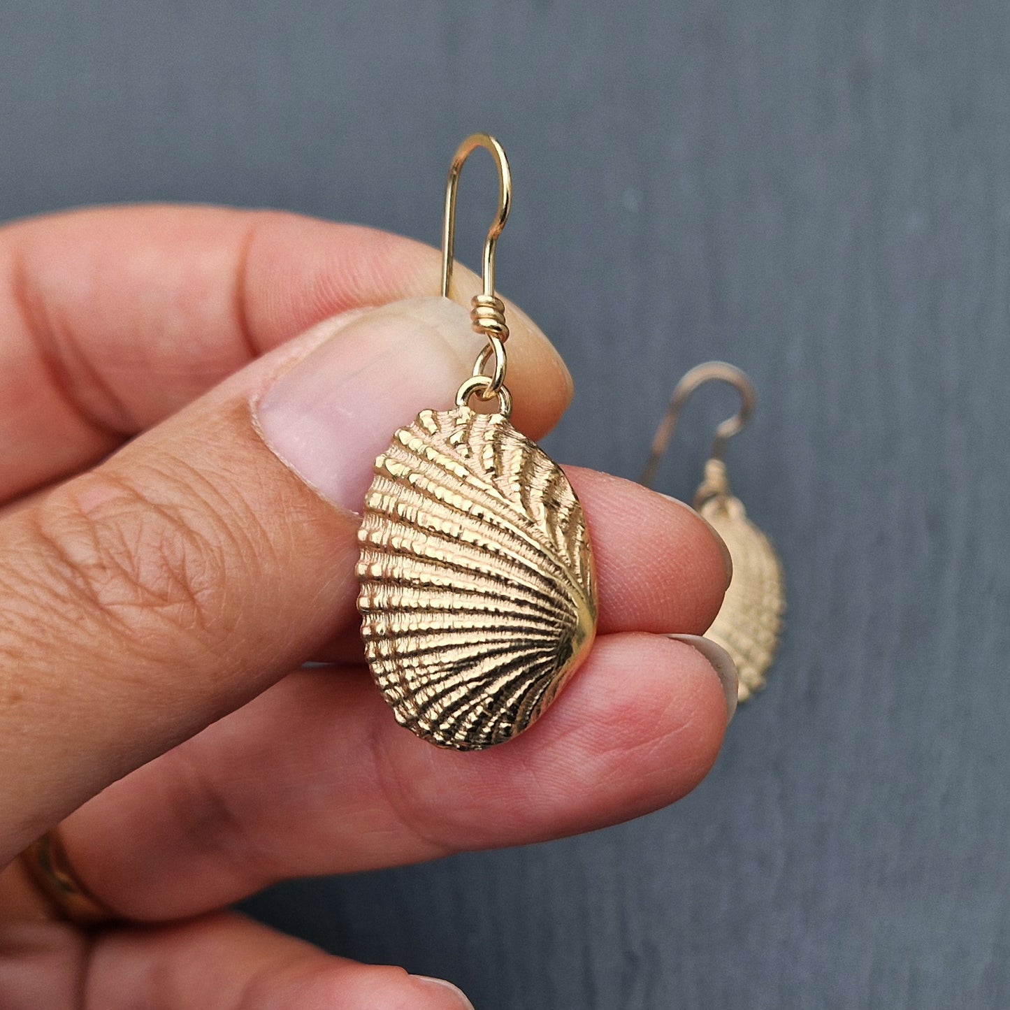 Ridged Shell Dangly Earrings - Gold