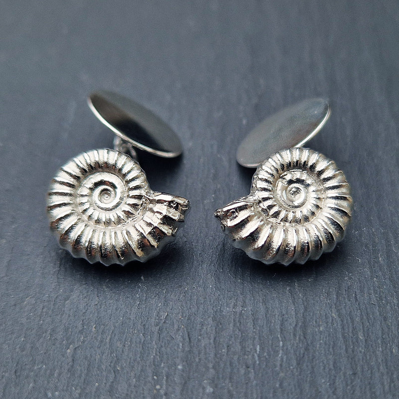 Silver ammonite cufflinks with disc fixings, 2024