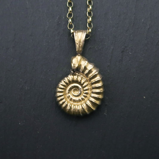 Cast Ammonite, Large - Gold