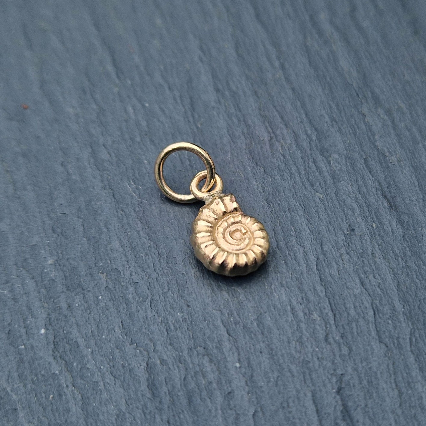 Small Cast Ammonite Charm - Gold