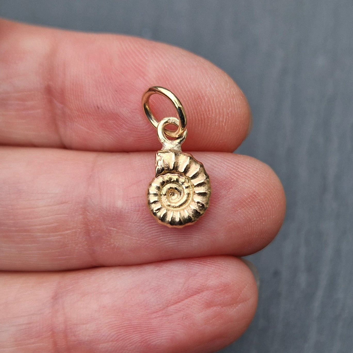 Small Cast Ammonite Charm - Gold