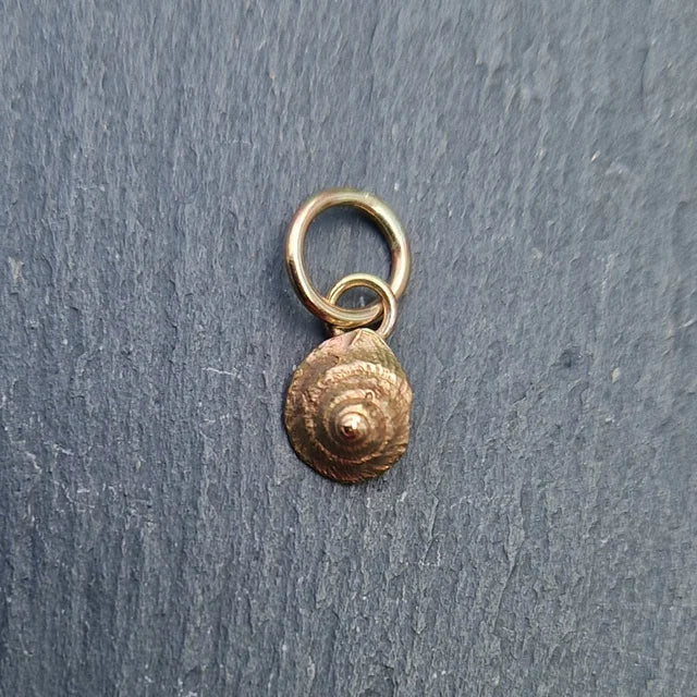 Winkle Shell Charm - Gold – Jewellery by Lucy Campbell