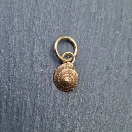 Winkle Shell Charm - Gold