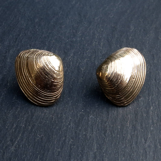 Clam Shell Studs - Gold