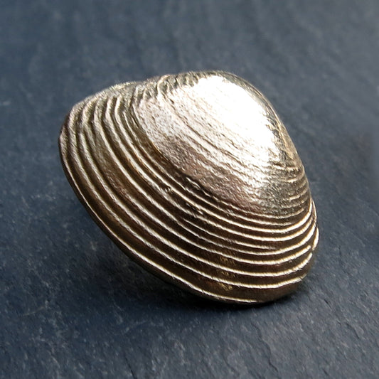 Clam Shell Studs - Gold