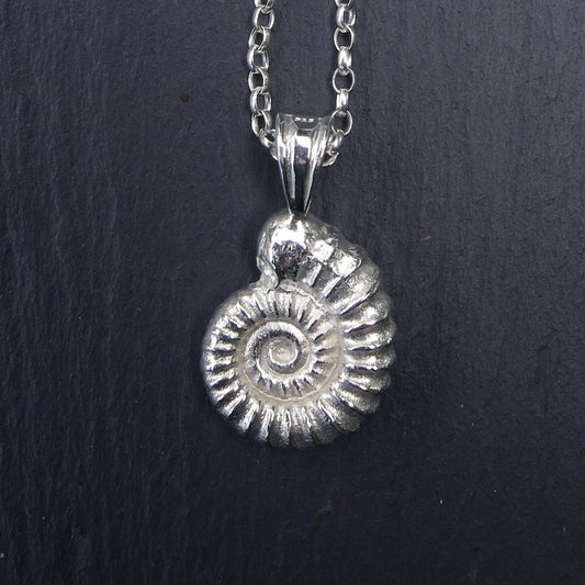 Cast Ammonite, Large - Silver
