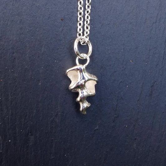 Skeleton Shell - Silver