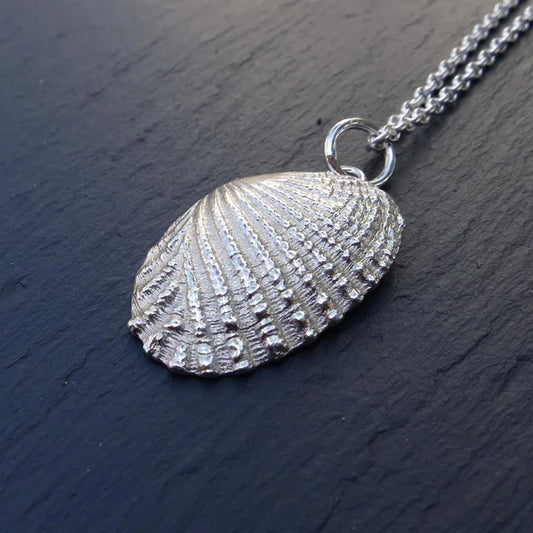 Ridged Shell - Silver
