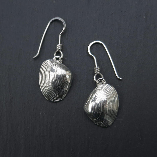 Clam Shell Dangly Earrings - Silver