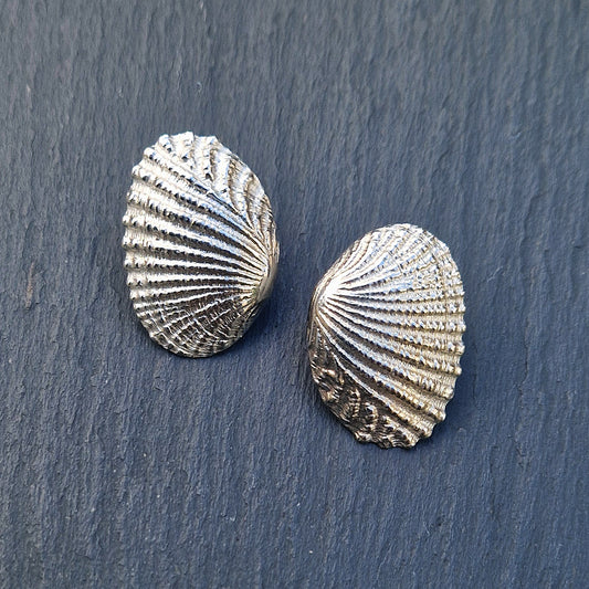 Ridged Shell Studs - Silver