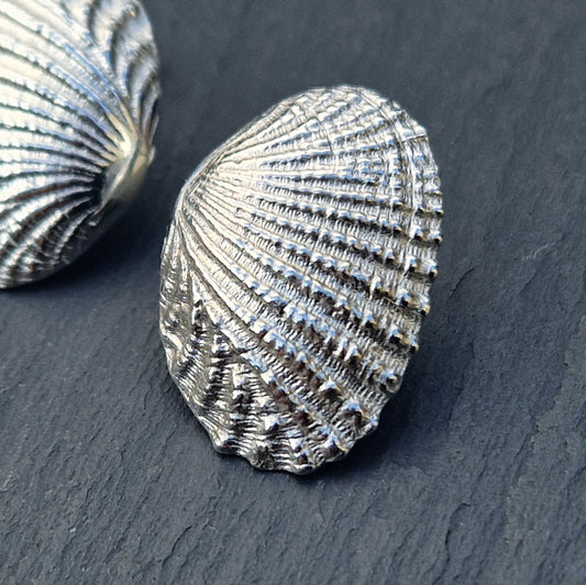 Ridged Shell Studs - Silver