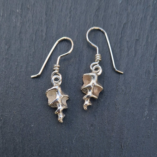 Skeleton Shell Dangly Earrings - Silver