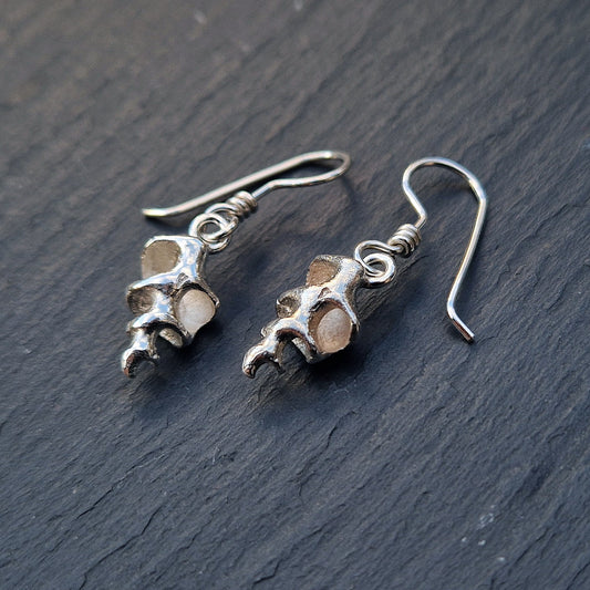 Skeleton Shell Dangly Earrings - Silver